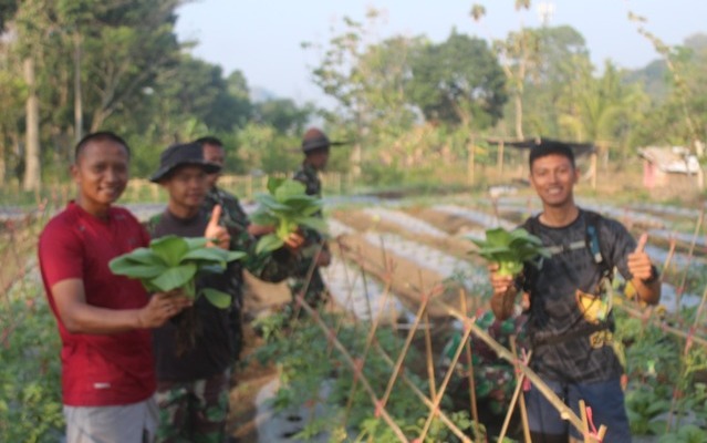 Beras, Ketahanan Pangan, Yonif 301/Pks, Urban Farming