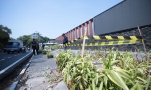 Selidiki Penebangan 35 Pohon di Empat Lokasi, Farhan: Penegakan Hukum Harus Tuntas