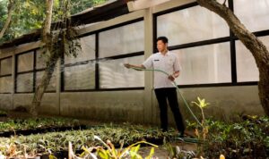 UPT Pembibitan kota Bandung dukung penghijauan dan perawatan taman kota